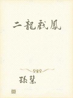 二龙戏凤
