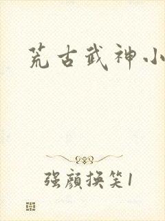 荒古武神小说