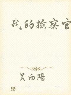 我的检察官先生