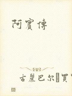 阿宾传