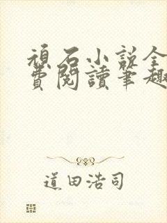 顽石小说全文免费阅读笔趣阁