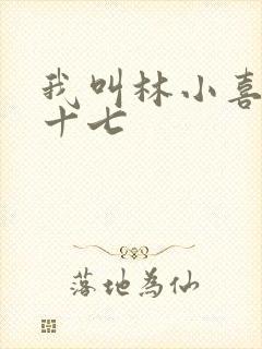 我叫林小喜今年十七