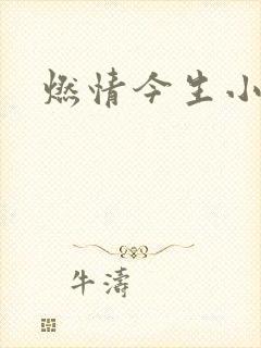燃情今生小说