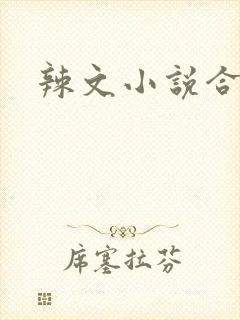 辣文小说合集封面