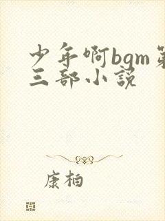 少年啊bgm第三部小说