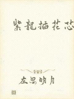 紫龙插花芯方正