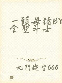 一头母猪BY黄金圣斗士封面