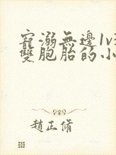 宠溺无边1v3双胞胎的小说