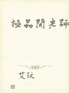 极品开光师封面