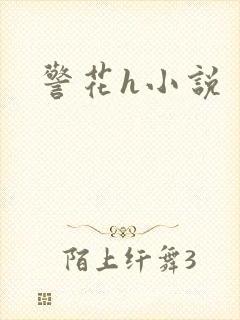 警花h小说封面