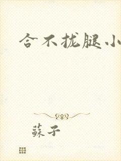 合不拢腿小说