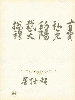 总裁的私有宝贝穆天阳免费