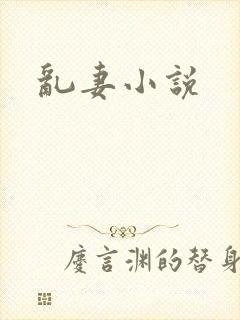 乱妻小说