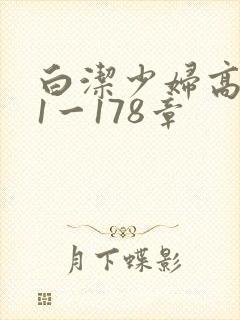 白洁少妇高义第1一178章封面