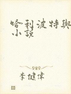 哈利波特与密室小说封面