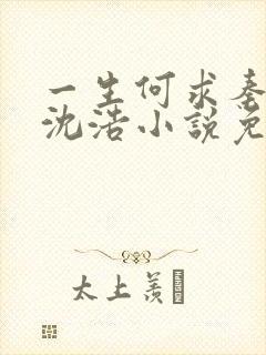 一生何求秦菲雪沈浩小说免费阅读全文