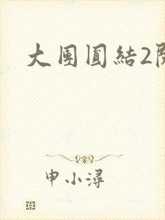 大团圆结2阅读