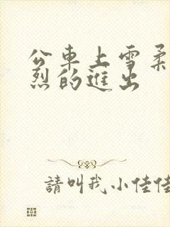 公车上雪柔被猛烈的进出