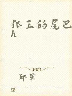 狐王的尾巴高ah