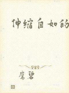 伸缩自如的爱封面