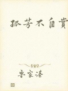 孤芳不自赏小说