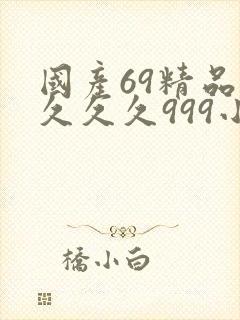 国产69精品久久久久999小说封面