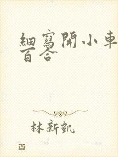 细写开小车车的百合