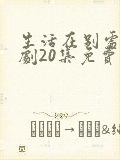 生活在别处电视剧20集免费观看封面