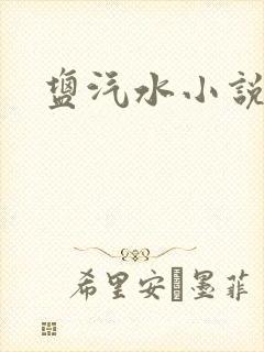 盐汽水小说封面