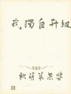 我独自升级小说封面