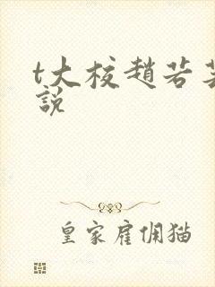 t大校赵若芸小说