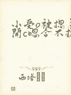 小受o被摁着扒开c嗯合不拢腿封面