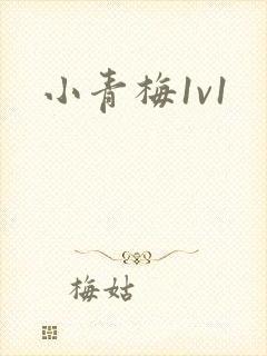 小青梅1v1