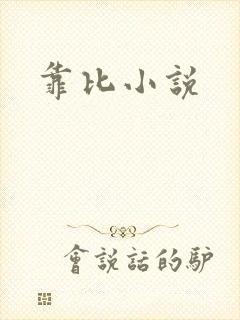 靠比小说封面