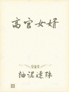 高官女婿