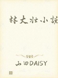 林大壮小说阅读