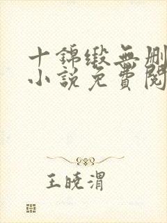 十锦缎无删原著小说免费阅读封面