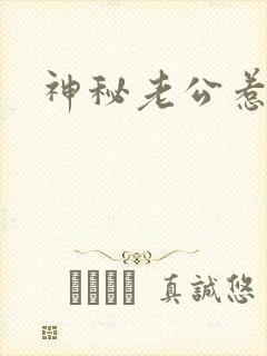 神秘老公惹不起