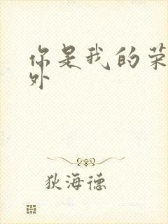 你是我的荣耀番外