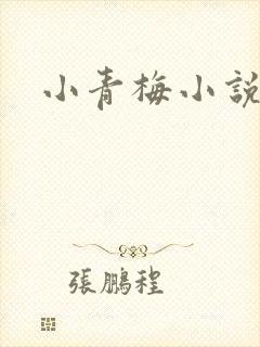 小青梅小说