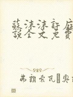 苏沫沫许庭川小说全文免费阅读