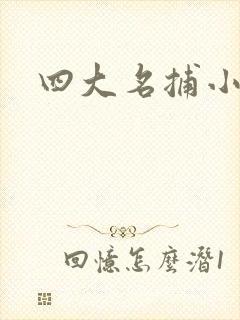 四大名捕小说