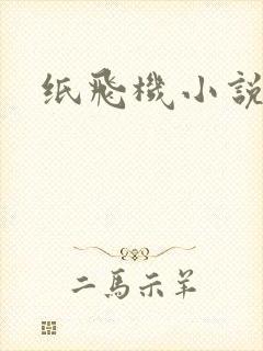 纸飞机小说