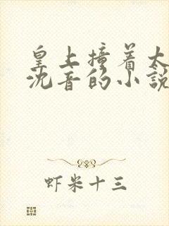 皇上撞着太子妃沈音的小说叫什么封面