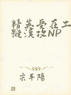 精英受在工地被糙汉攻NP