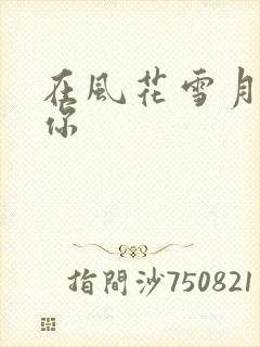 在风花雪月里等你