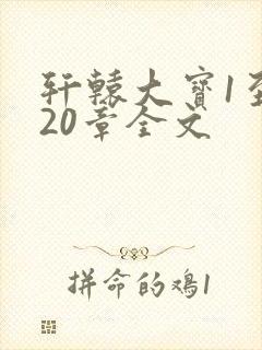 轩辕大宝1至720章全文