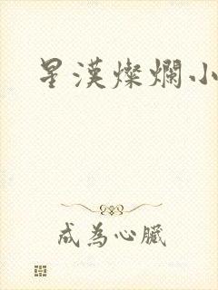 星汉灿烂小说