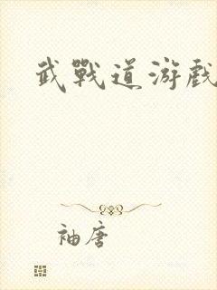 武战道游戏