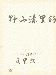 野山沟里的村庄封面